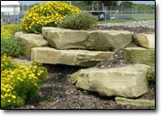 Retaining wall stone / Outcropping.